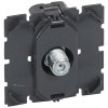 Legrand Розетка TV - Тип F 0-2 400 MГц - Программа Celiane 067380