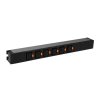 Legrand PDU - Блок распределения питания - 6 розеток С19 - клеммный блок - 19 - 16А 646807