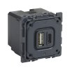 Legrand Celiane Зарядное устройство с двумя USB-разьемами 067465