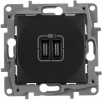 Legrand Зарядное устройство с двумя USB-разьемами тип C-тип С 240В/5В 3000мА Etika 672635