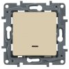 Legrand Выключатель с подсветкой, 10АХ, с винтовыми зажимами 672303
