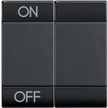 Фотография товара 'Legrand Livinglight Клавиша ON OFF 2 модуля L4911M2AGN'