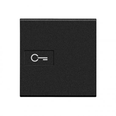 Фотография товара 'Legrand Livinglight Клавиша Axial Символ Ключ, размер 2 модуля L4916M2F'