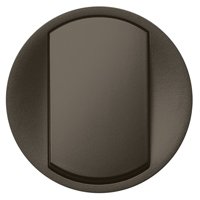 Фотография товара 'Legrand Лицевая панель - Программа Celiane - выключатель 067921'