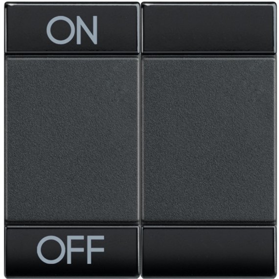 Фотография товара 'Legrand Livinglight Клавиша ON OFF 2 модуля L4911M2AGN'