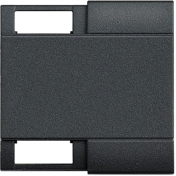 Фотография товара 'Legrand LivingLight Клавиша с 2 отверстиями для вставки символа, размер 2 модуля L4911M2TN'