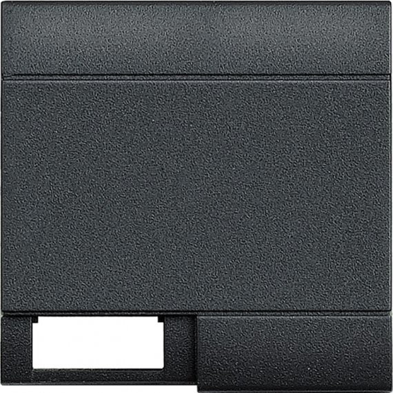 Фотография товара 'Legrand Livinglight Клавиша с 1 отверстием для вставки символа, размер 2 модуля L4915M2TN'