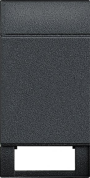 Фотография товара 'Legrand Livinglight Клавиша с 1 отверстием для вставки символа, размер 1 модуль L4915TN'