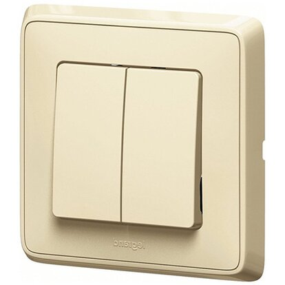 Фотография товара 'Legrand Cariva DIY Выключатель двухклавишный 695904'